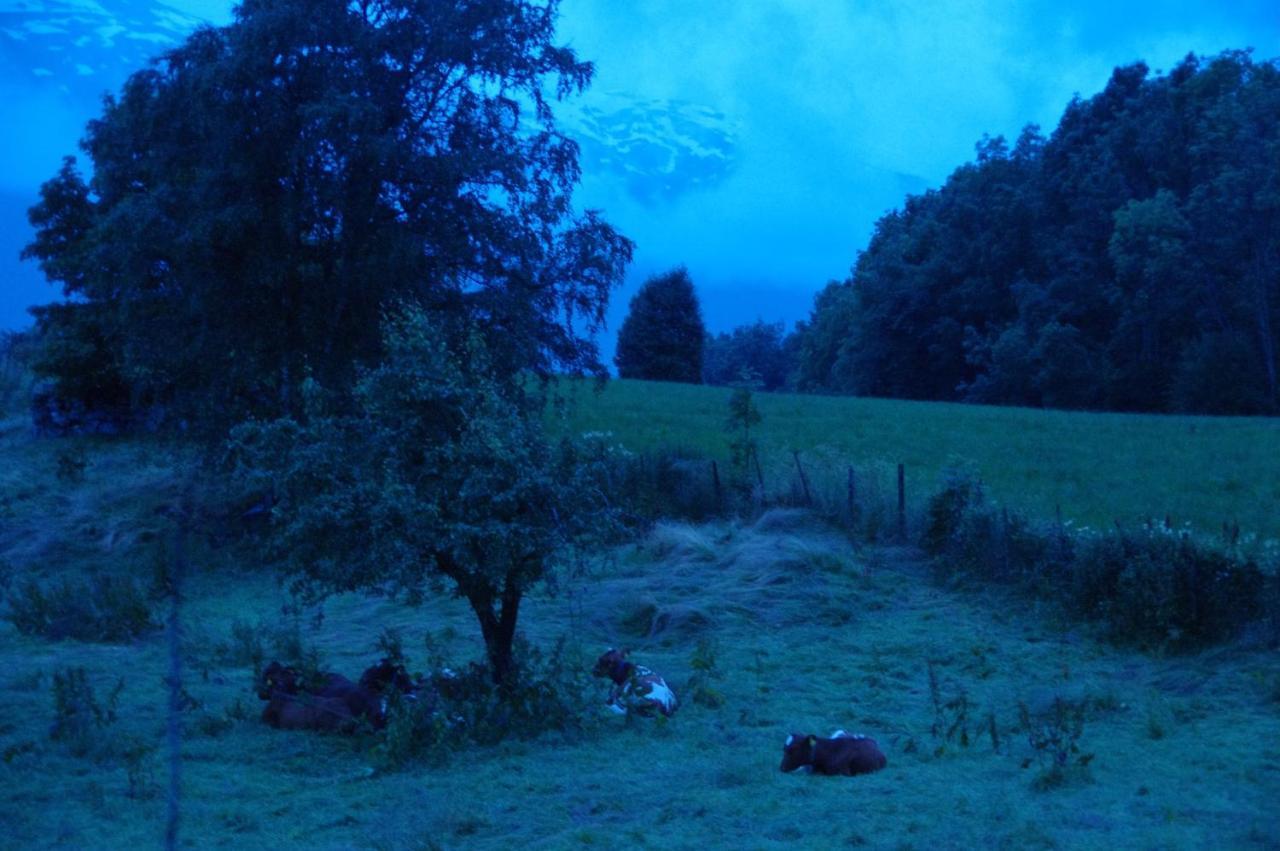Orheimstunet - Gardsferie For Storfamilien Der Ogsa Hunden Er Velkommen Starheim Exteriör bild