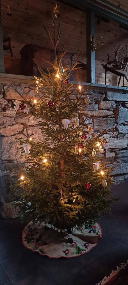 Orheimstunet - Gardsferie For Storfamilien Der Ogsa Hunden Er Velkommen Starheim Exteriör bild